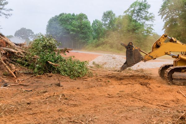 Forestry Mulching Service in Kissimmee