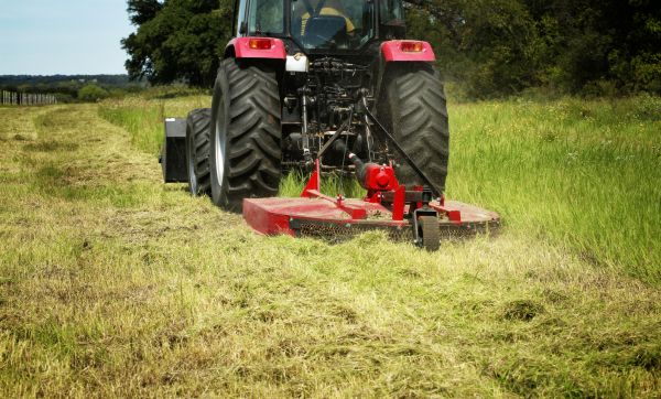 Brush Clearing Service in Kissimmee