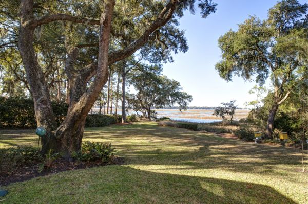 Lakefront Property Clearing in Kissimmee