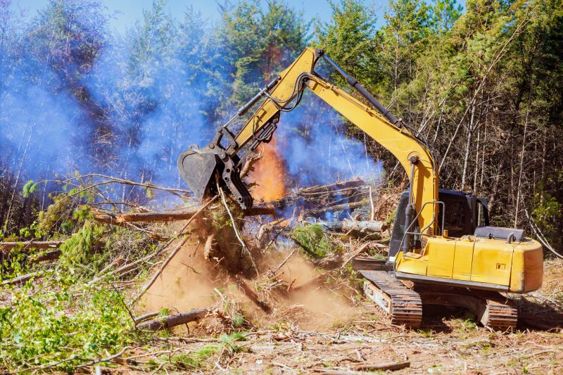 Land Clearing with Excavator