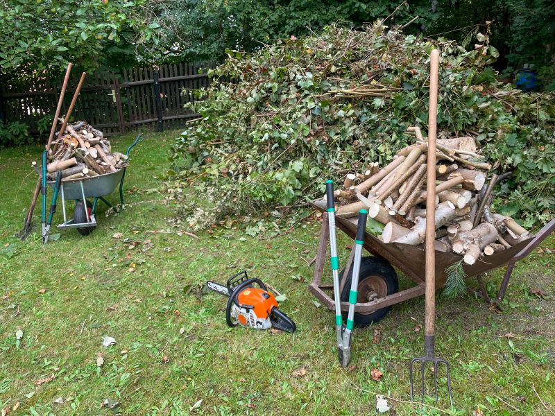 Vegetation Removal